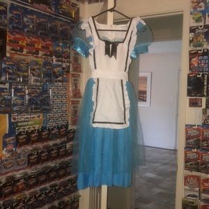 Adult Alice in Wonderland Costume